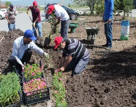 hizmet PARK VE ÇEVRE DÜZENLEME