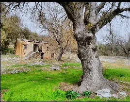 ürün ER&AY’DAN BÜYÜK FIRSAT. KAŞ SARILAR DA SATILIK TAŞ EV VE TARLA.