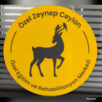 tanitim resim ÖZEL ZEYNEP CEYLAN ÖZEL EĞİTİM REHABİLİTASYON