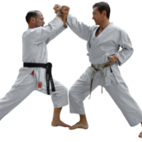 tanitim resim TEKİRDAĞ KARATE SPOR KULÜBÜ