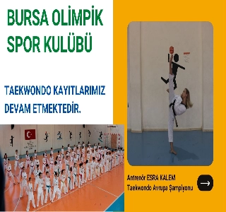 hizmet TEKVANDO / taekwondo