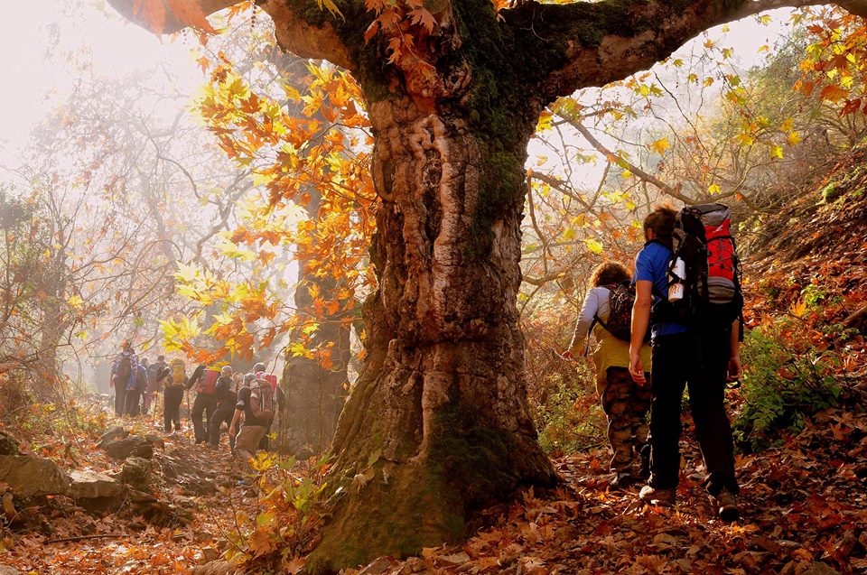 tanitim resim OLYMPOS DAĞCILIK