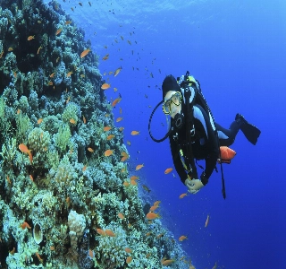 hizmet SCUBA SCHOOL DALIŞ MERKEZİ