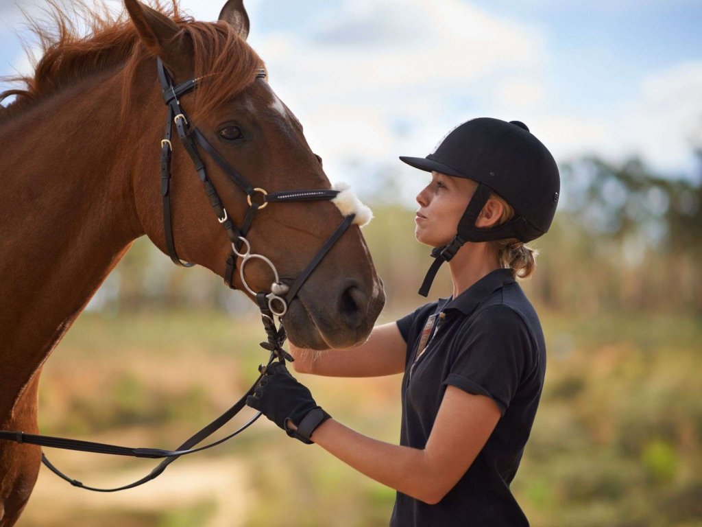 tanitim resim Golden Horse Ranch Cappadocia