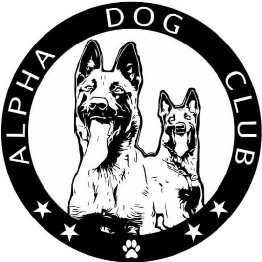 tanitim resim ALPHA DOG CLUP 
