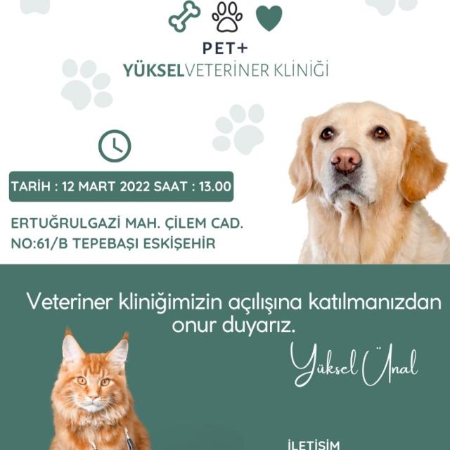 tanitim resim Yüksel Pet Plus Veteriner Kliniği