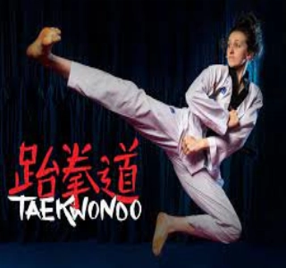 hizmet TAEKWON DO