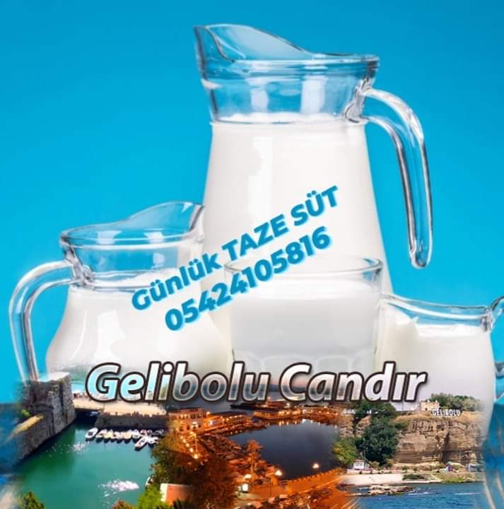 tanitim resim Gelibolu En Yakın Süt Ve Süt Ürünleri Satışı