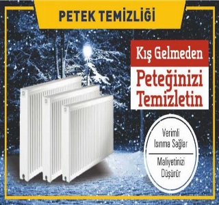 hizmet Petek temizliği 