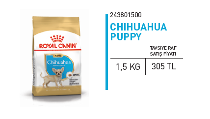 ürün CHIHUAHUA PUPPY