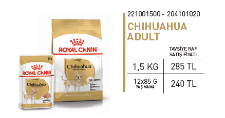 ürün CHIHUAHUA ADULT