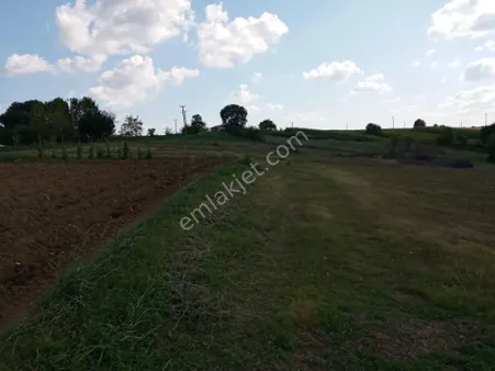 ürün Kandırada köy kenarında tepe konumda satılık 1000