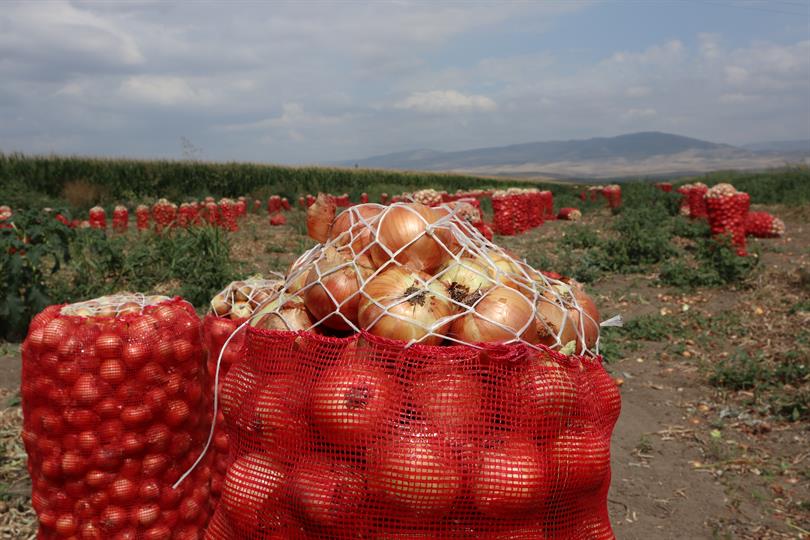 ürün SOĞAN 